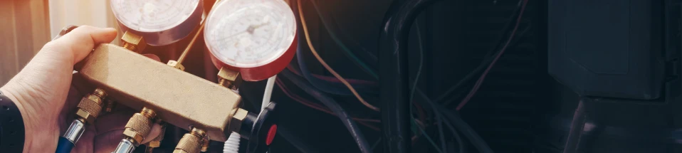 Savings & Free Offers